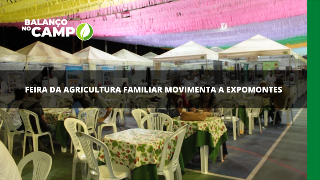 Feira da agricultura familiar movimenta Expomontes