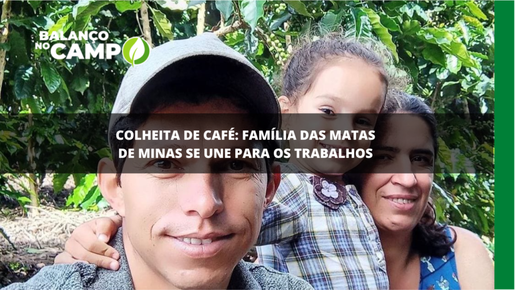Minas Gerais: colheita de café em família
