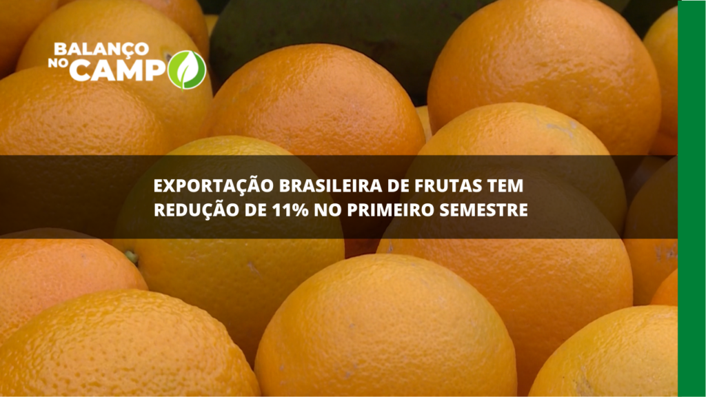 Exportação de frutas do Brasil registra queda