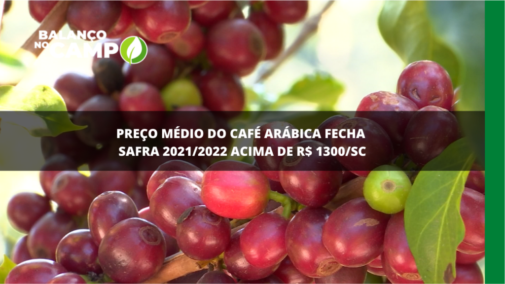 Preço médio do café arábica fecha safra acima de R$ 1300 a saca