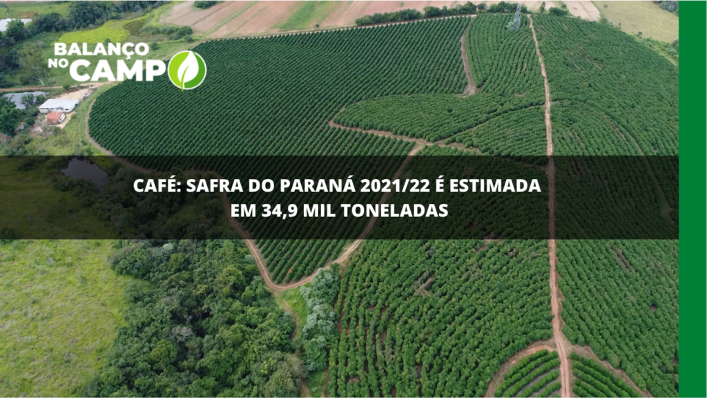 Safra de café do Paraná é estimada em 34,9 mil toneladas