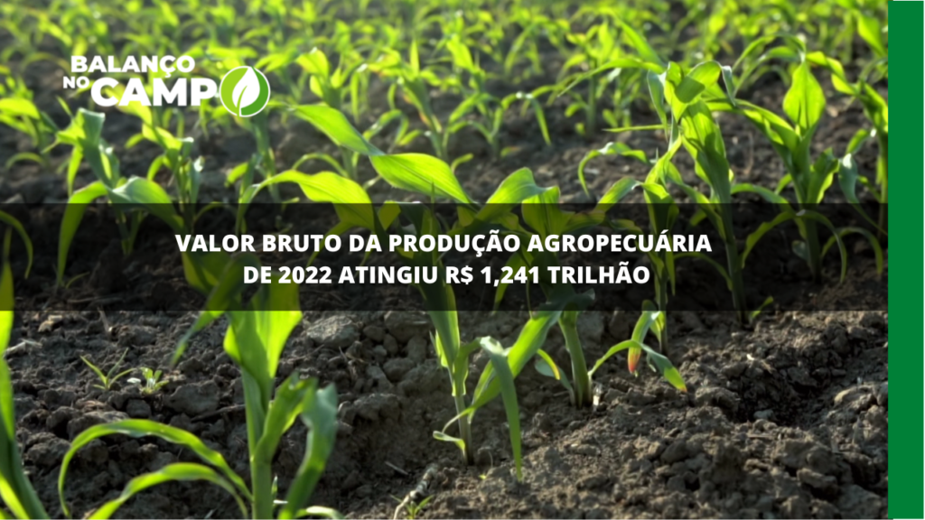 Valor bruto da produção agropecuária bate recorde