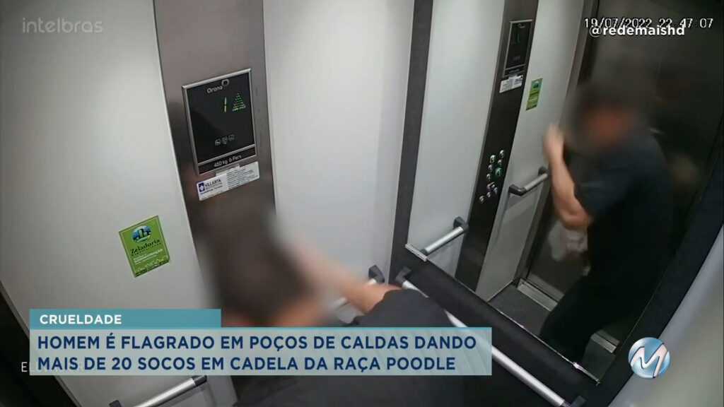 Absurdo: câmera flagra homem agredindo cadela dentro de elevador em MG