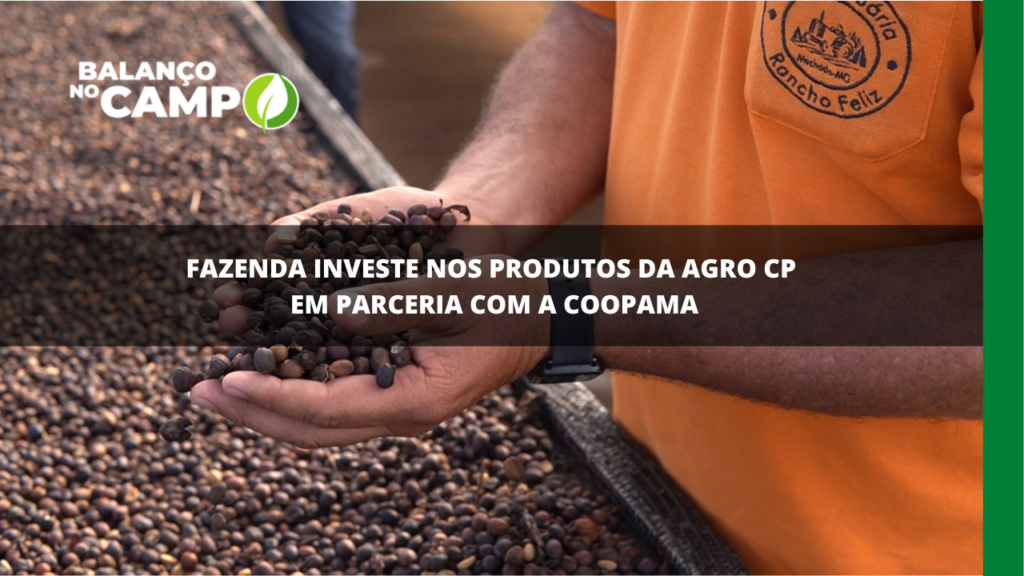 Fazenda investe na produção de cafés especiais