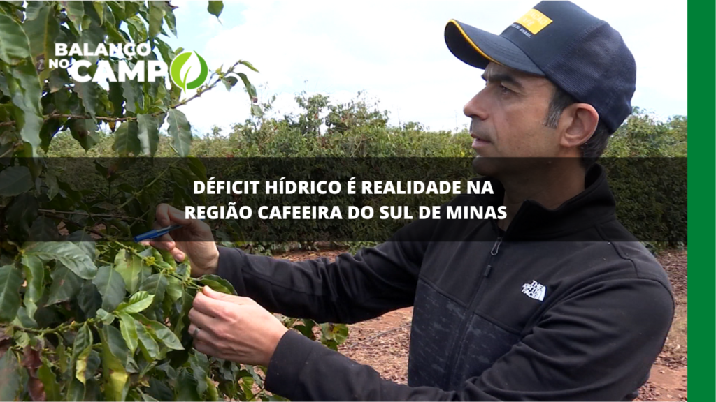 Déficit hídrico é realidade na região cafeeira do Sul de Minas