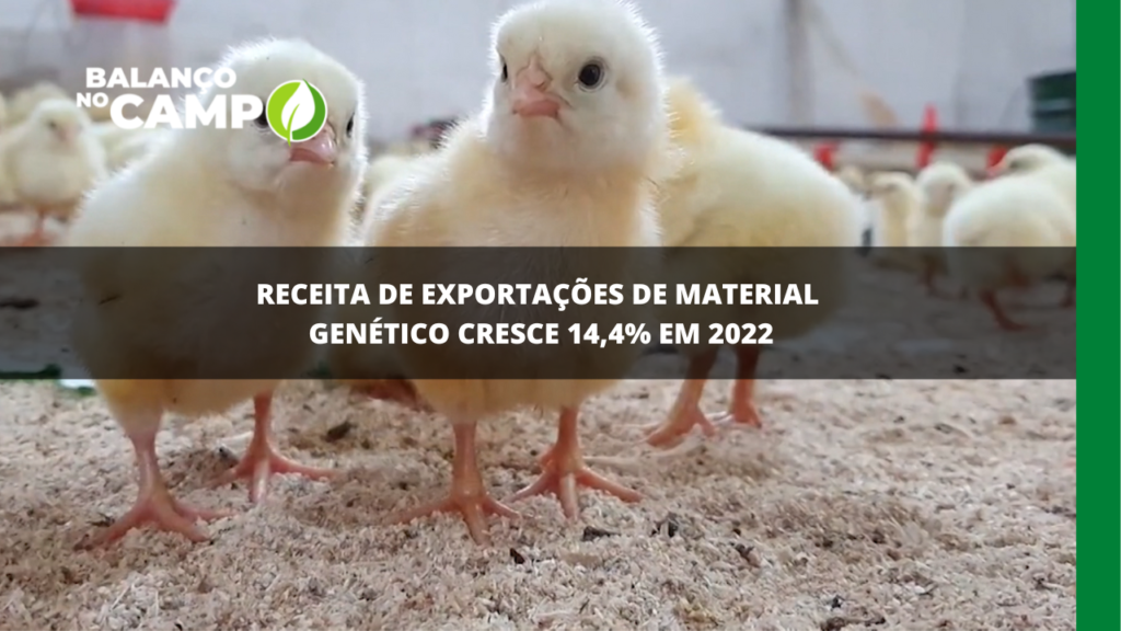 Exportação de material genético cresce no Brasil