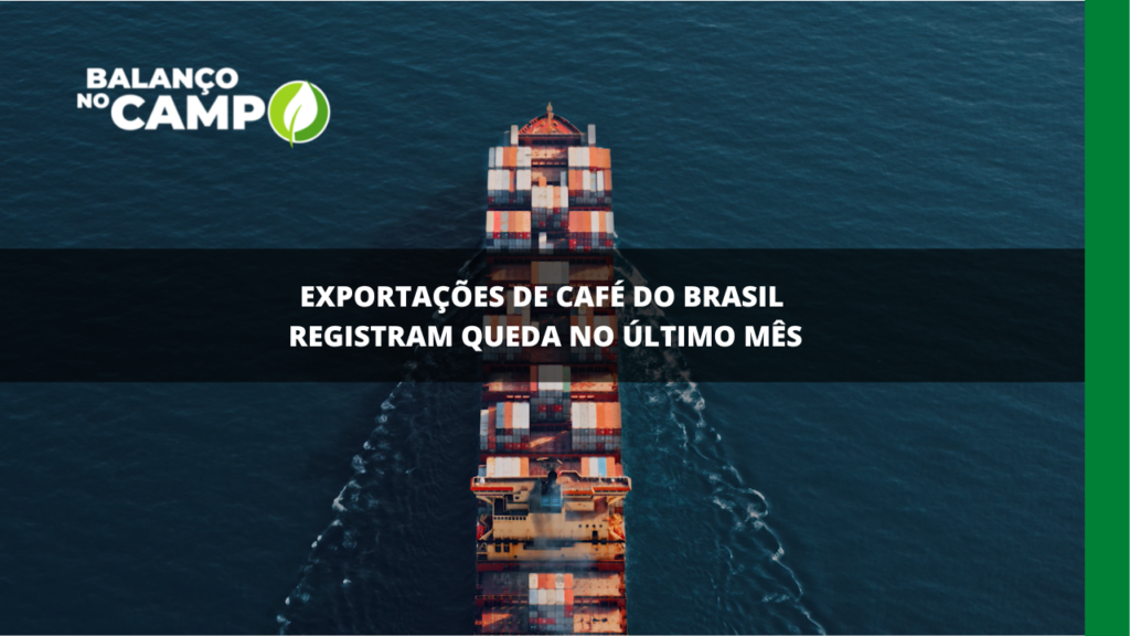 Exportações de café do Brasil caíram no último mês