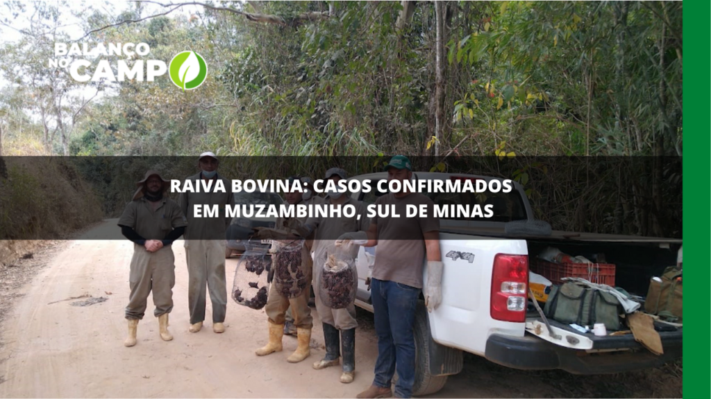 Raiva bovina é registrada em Muzambinho, Sul de Minas