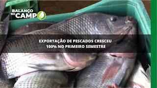 Exportação de pescados bate recorde no primeiro semestre