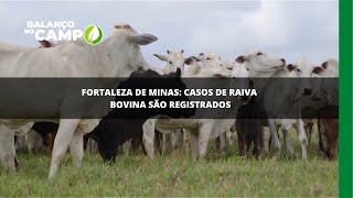 Raiva bovina é registrada em Fortaleza de Minas