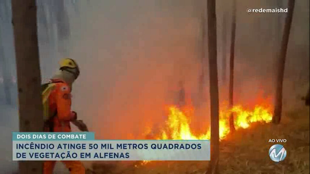 Sul de Minas: incêndio atinge vegetação em Alfenas
