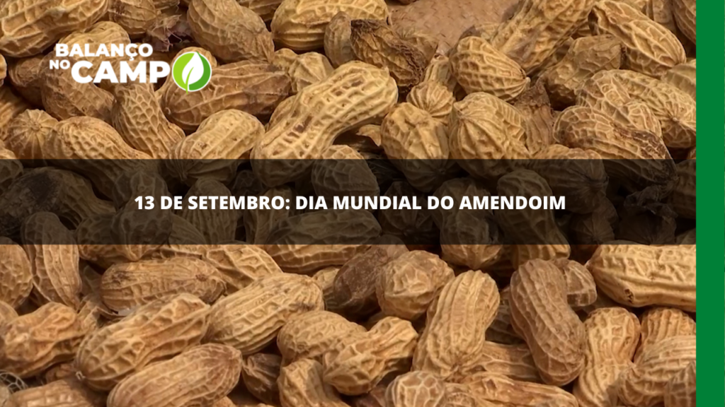 13 de setembro é o Dia do Amendoim