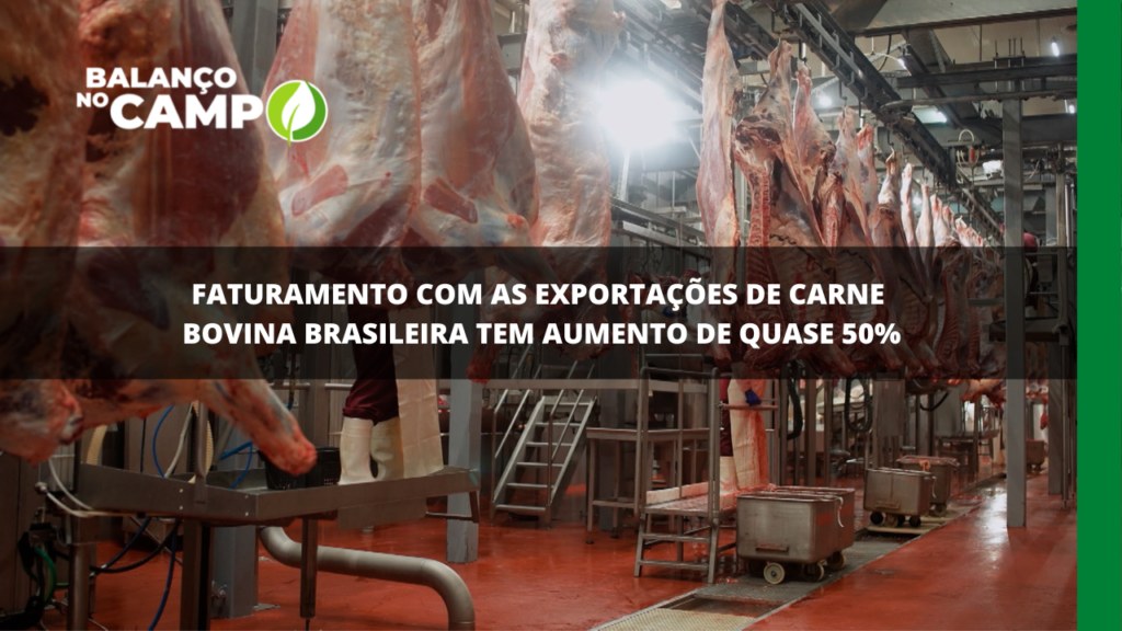 Brasil bate recorde nas exportações de carne bovina