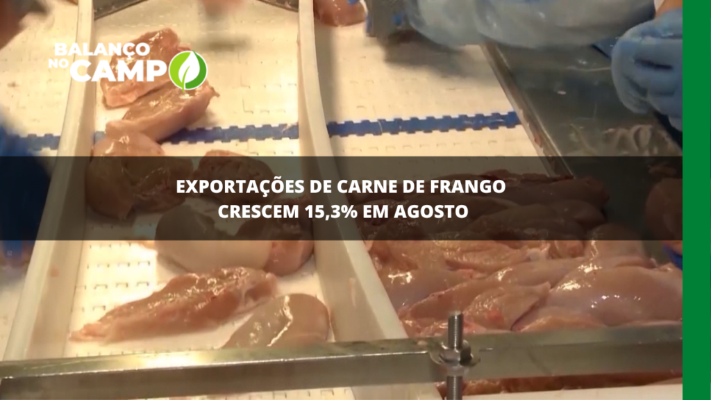 Exportação da carne de frango registra aumento