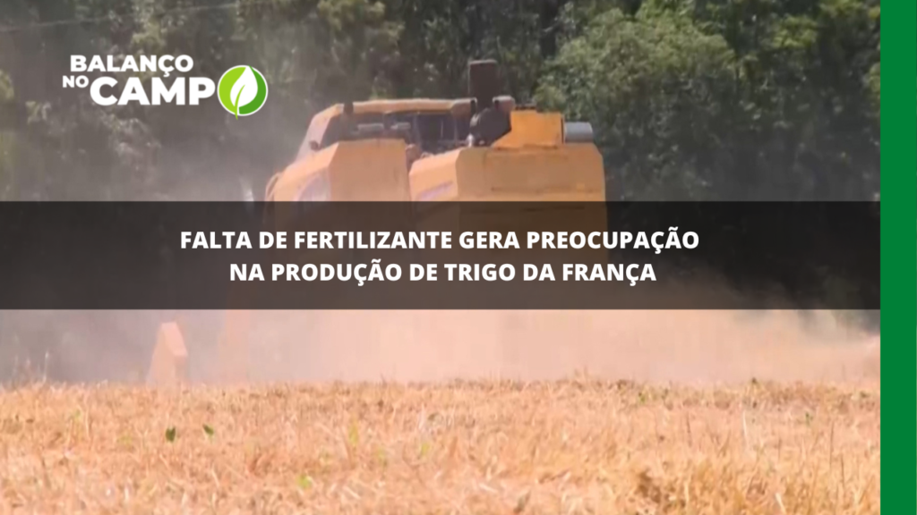 Produção de trigo na França pode ser prejudicada com a falta de fertilizantes