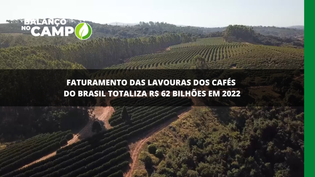 Faturamento das lavouras de cafés do Brasil chegará a quase R$ 62 bilhões