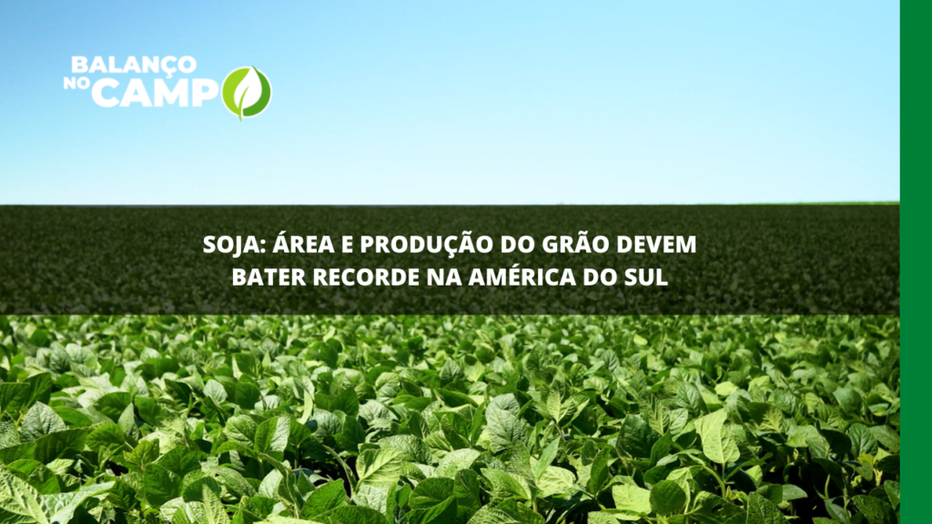 Área e produção de soja devem bater recorde na América do Sul