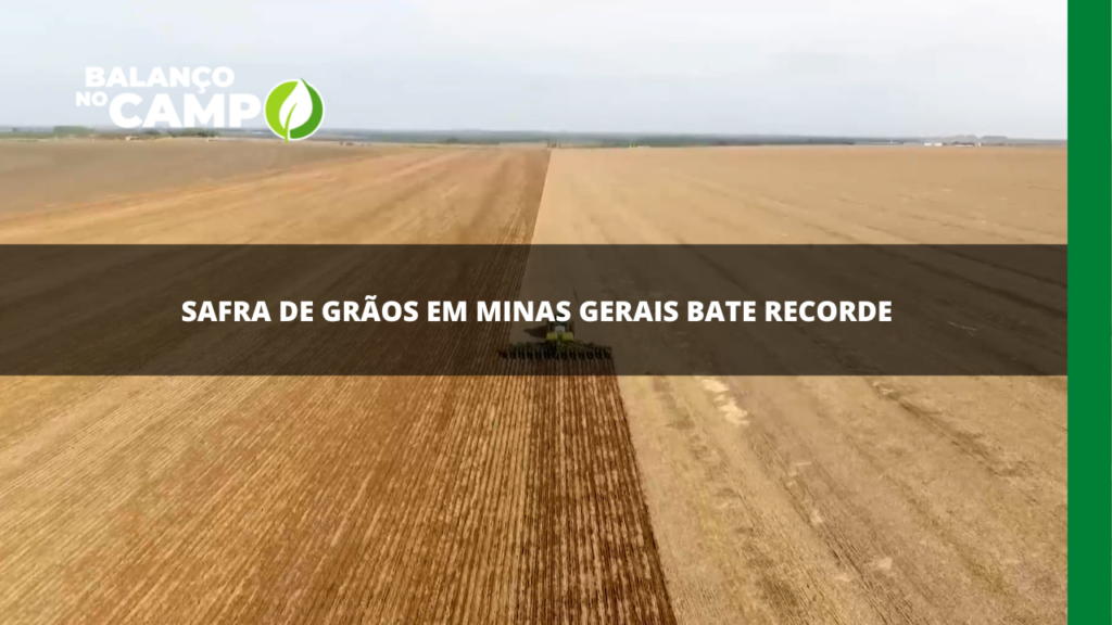 Safra de grãos em Minas Gerais bate recorde