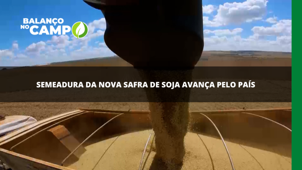 Semeadura da nova safra de soja avança pelo Brasil