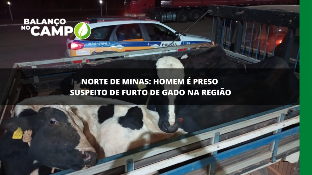 Suspeito é preso no Norte de Minas por furto de gado