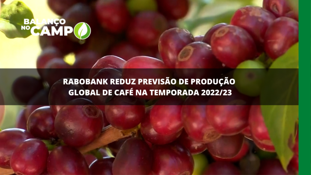 Rabobank reduz previsão de produção global de café