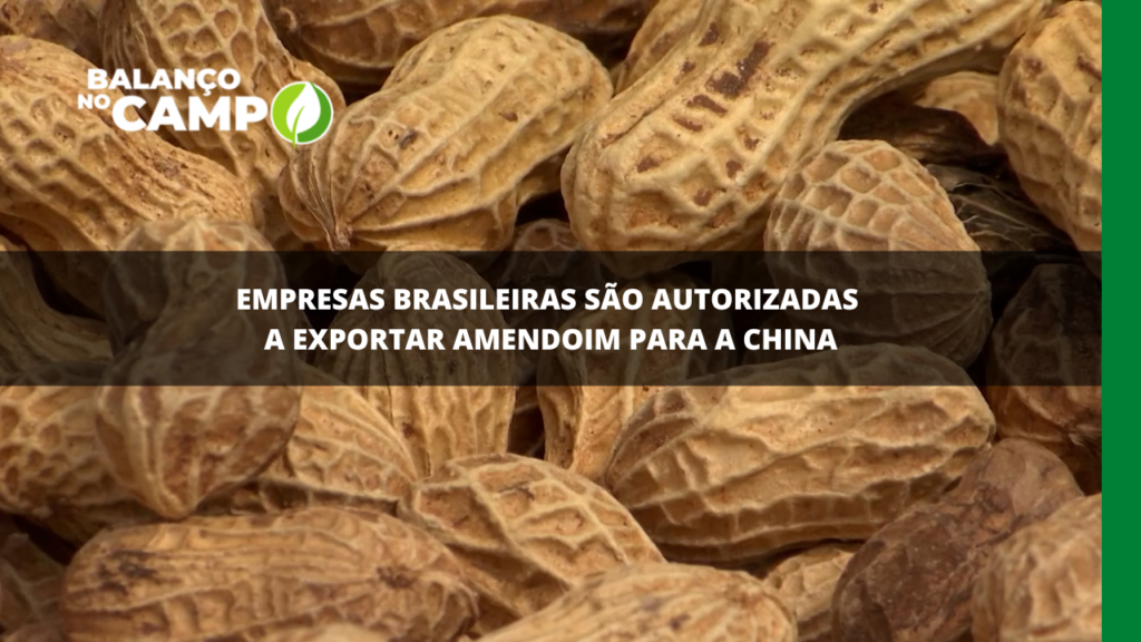 China é novo mercado para o amendoim brasileiro
