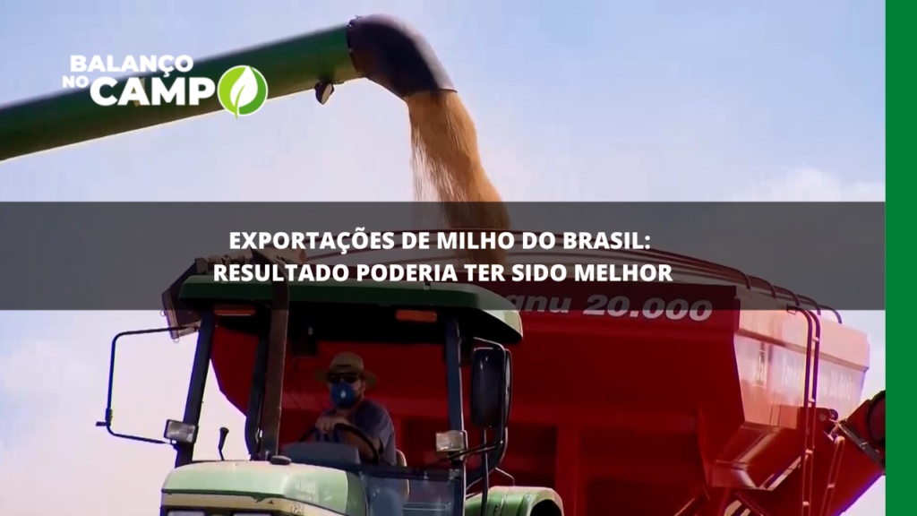 Especialista analisa desempenho das exportações de milho do Brasil