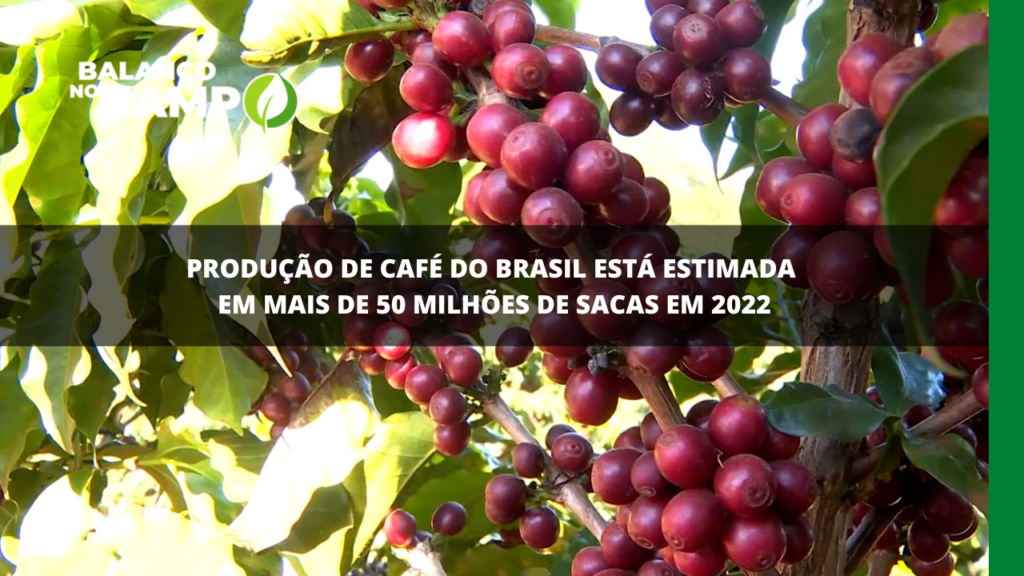 Produção de café do Brasil está estimada em mais de 50 milhões de sacas