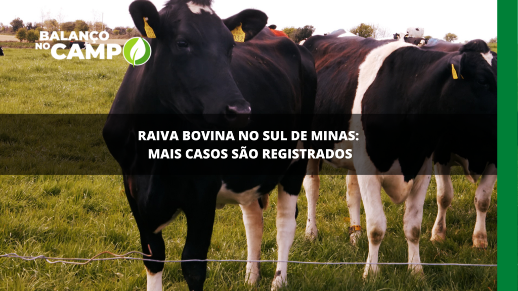 Mais casos de raiva bovina são confirmados no Sul de Minas