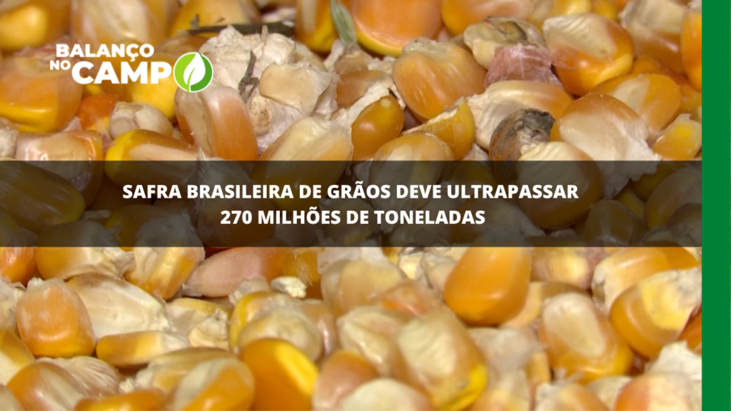 Safra de grãos do Brasil deve ultrapassar 270 milhões de toneladas