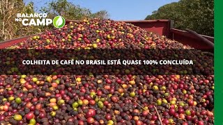 Colheita de café no Brasil está quase 100% concluída