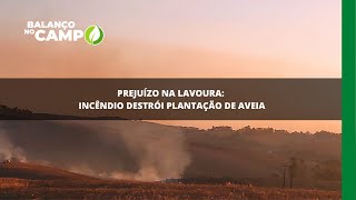 Incêndio destrói plantação de aveia em São João del-Rei