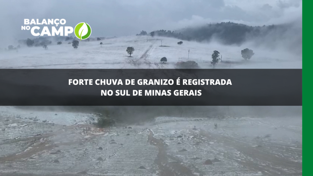 Chuva de granizo é registrada no Sul de Minas