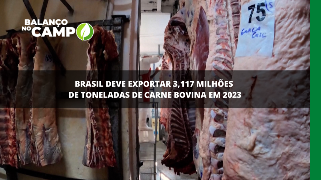 EXPORTAÇÃO DE CARNE BOVINA | O Brasil deve exportar mais de 3 milhões de toneladas de carne bovina em 2023.