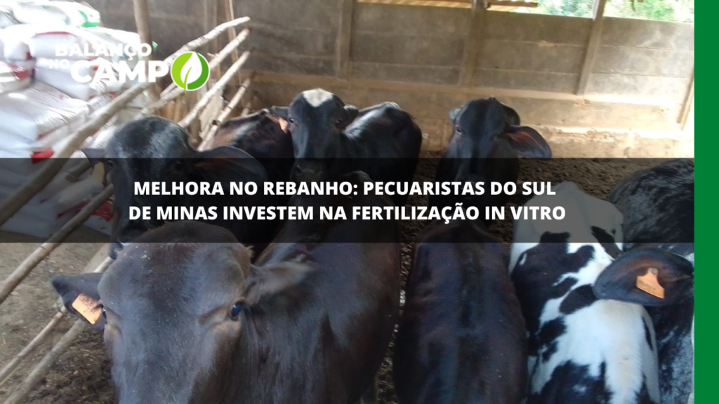 MELHORAMENTO GENÉTICO DO REBANHO