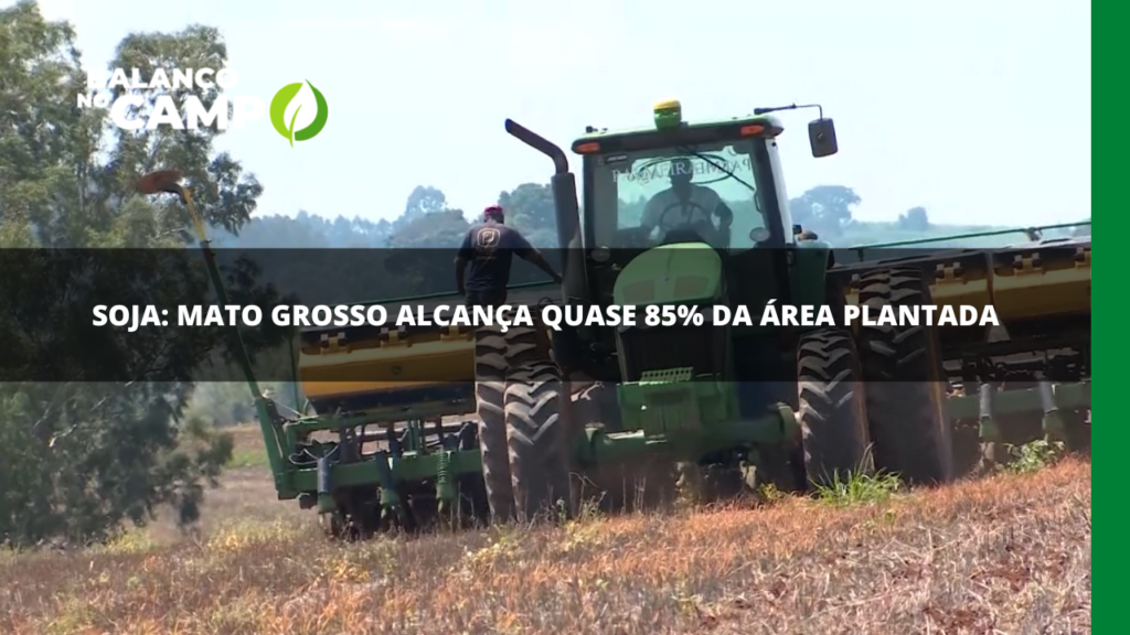 Plantio de soja no Mato Grosso