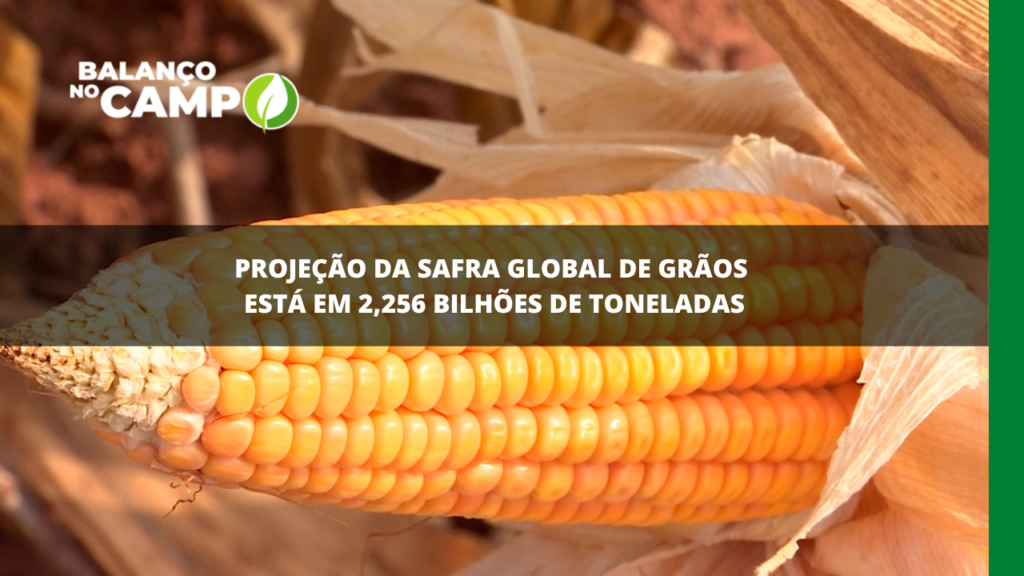 Previsão da produção global dos grãos