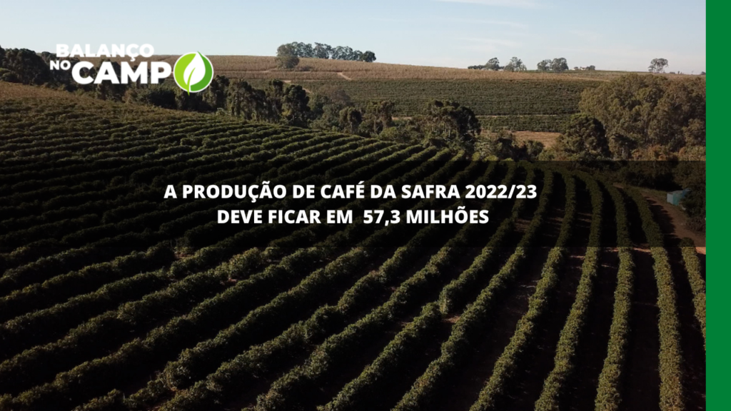 Produção de café menor