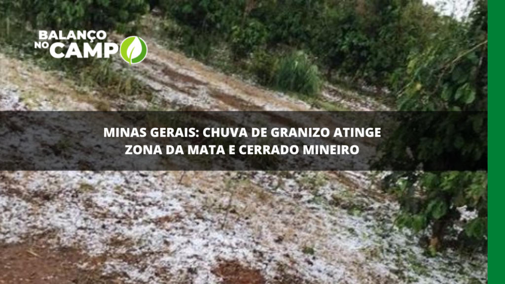 Chuva de granizo em Minas Gerais