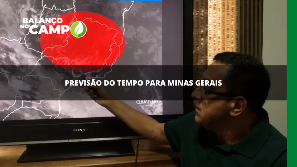 PREVISÃO DO TEMPO | Tem previsão de chuva para a próxima semana em Minas Gerais. Acompanhe.