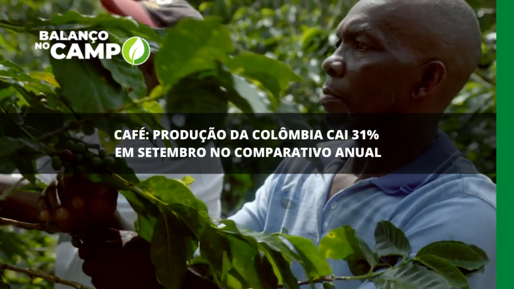 Produção de café da Colômbia registra queda