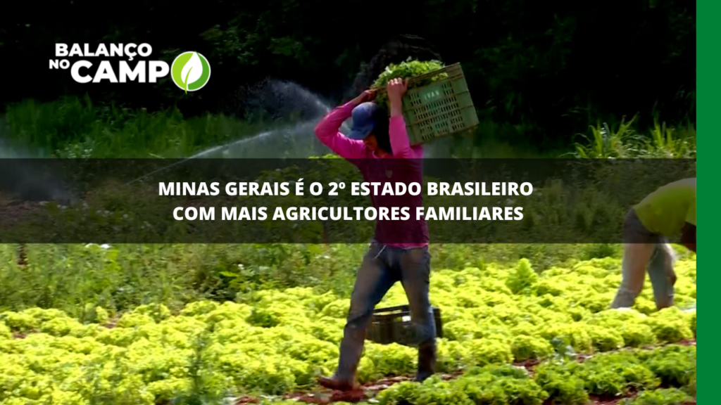 Minas é o segundo estado brasileiro com mais agricultores familiares