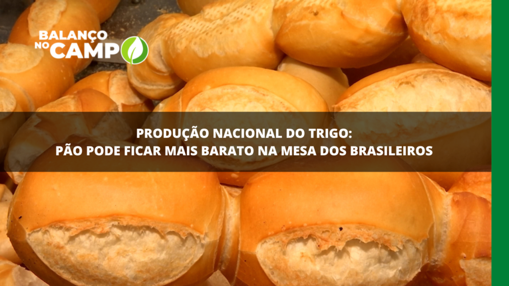 Pão pode ficar mais barato no Brasil