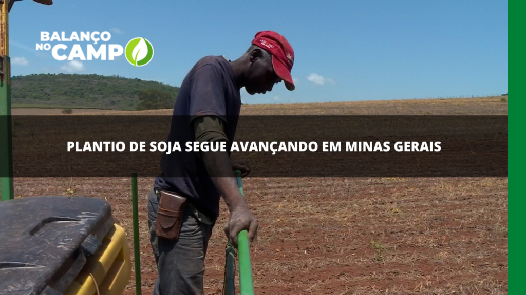 Plantio de soja em Minas Gerais