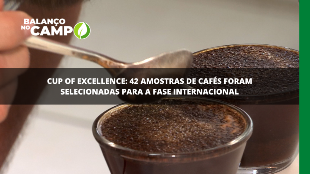 CUP OF EXCELLENCE | 42 amostras de café foram classificadas para a etapa internacional do Cup of Excellence. Jurados de todo o mundo se reúnem em Patrocínio, Cerrado Mineiro, para a grande final.