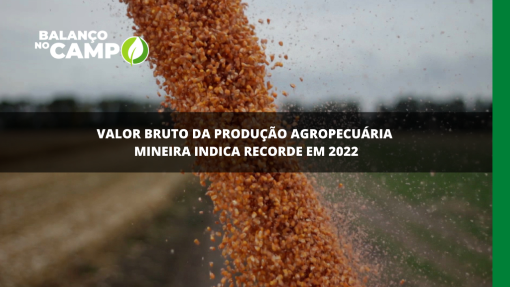 Valor bruto da produção agropecuária mineira indica recorde