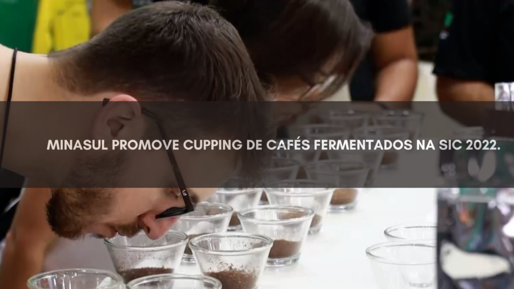 CAFÉS FERMENTADOS