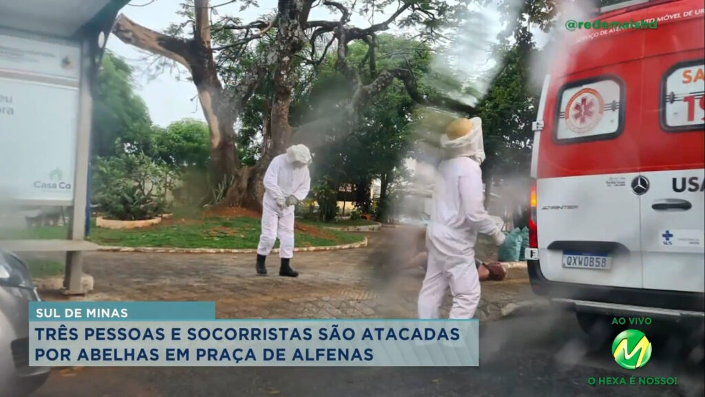 Alfenas: moradores e socorristas são atacados por abelhas