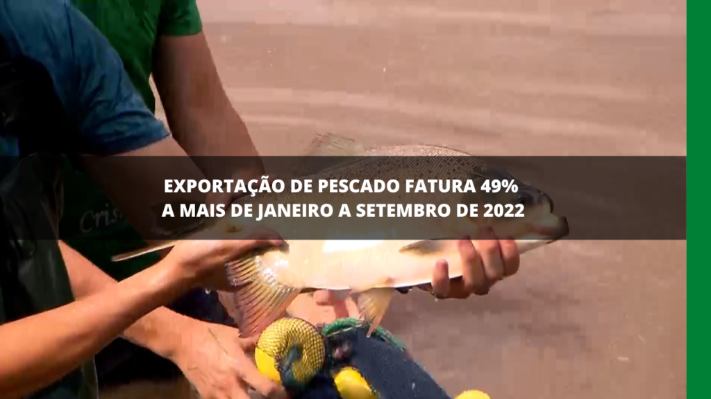 Exportação de pescados do Brasil