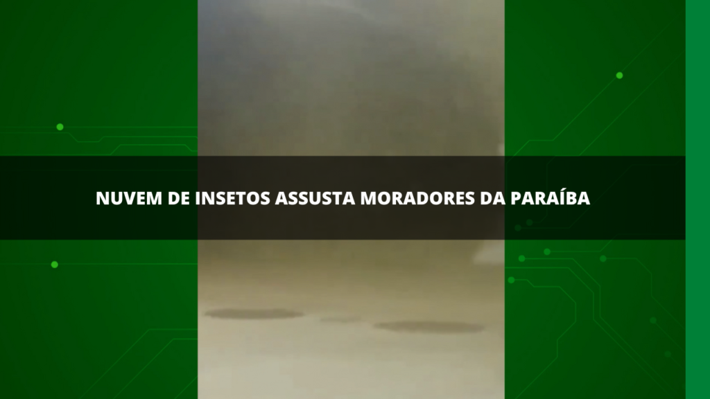 Nuvem de insetos